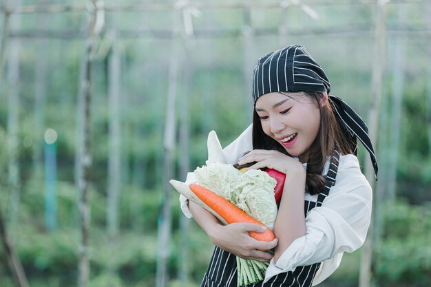 Chef harvesting fresh produce off organic farm