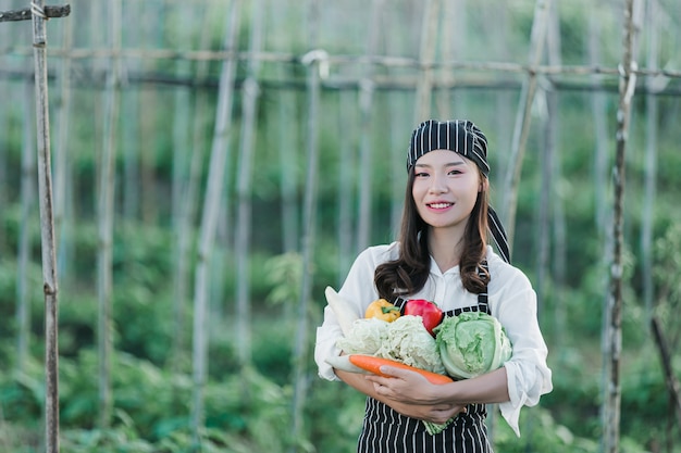 Chef harvesting fresh produce off organic farm