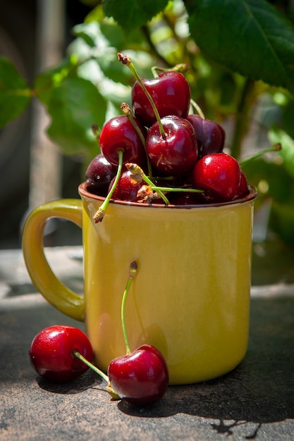 Cherries in a yellow cup