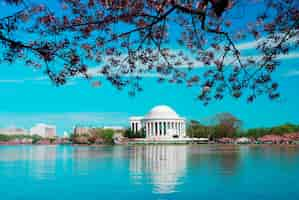 Free photo cherry blossom season washington dc