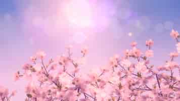 無料写真 桜の木