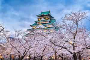 무료 사진 일본 오사카의 벚꽃과 성.