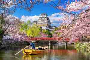 Foto gratuita fiori di ciliegio e castello di himeji, giappone.