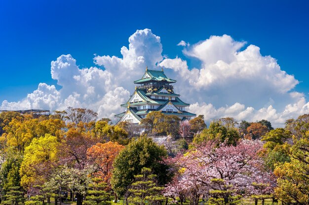 일본 오사카의 벚꽃과 성.