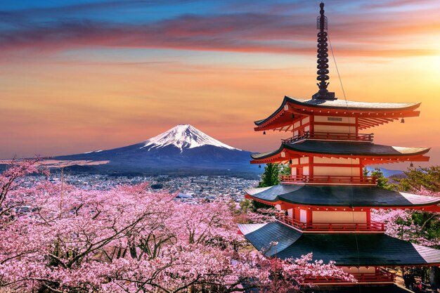 Cherry blossoms in spring, Chureito pagoda and Fuji mountain at sunset in Japan.