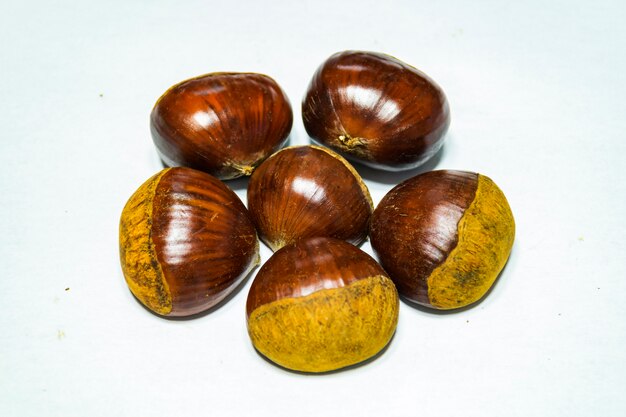 chestnut