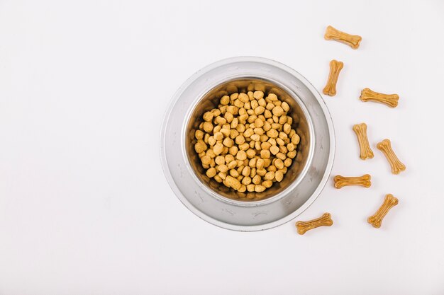 Chewing bones near bowl with food