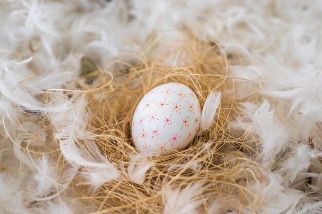 Куриное яйцо на сене между кучей перьев