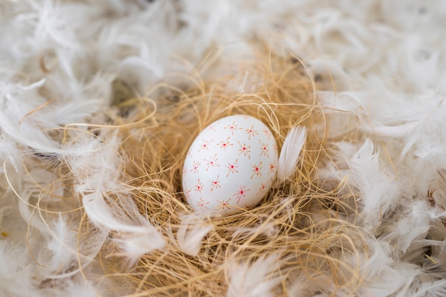 Chicken egg on hay between heap of quills