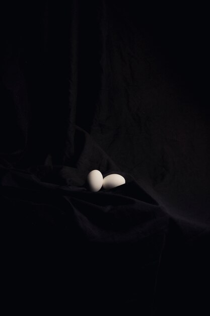 어두운 재료 사이의 닭고기 달걀