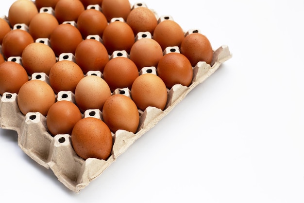 종이 달걀 상자에 담긴 닭고기 달걀 프리미엄 사진