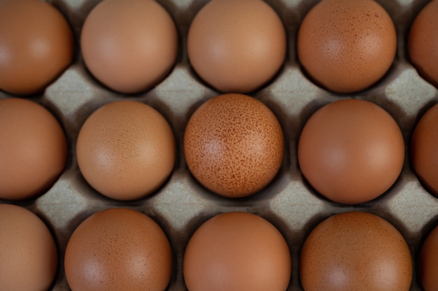 Куриные яйца помещаются на подставку для яиц. Крупный план.