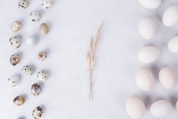 Free photo chicken eggs and quail eggs on white surface.