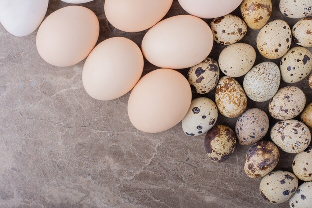 Foto gratuita pollo e uova di quaglia a terra