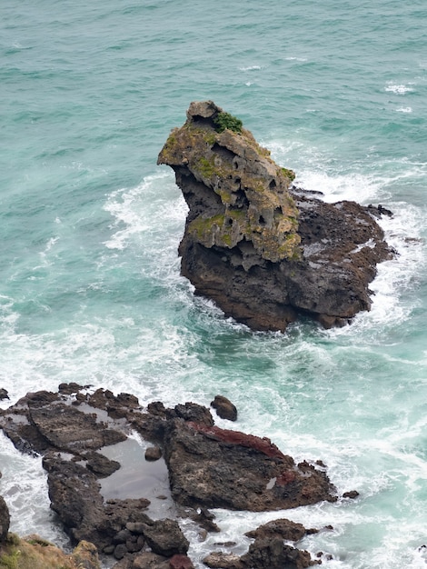 Free photo chicken rock in mercer bay at karekare