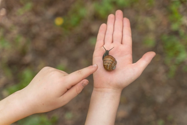 Foto gratuita bambino che esplora la foresta il giorno dell'ambiente