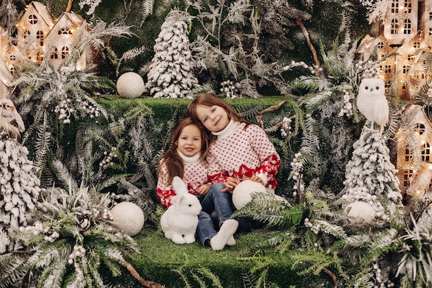 クリスマスツリーの中でおもちゃのウサギの近くに座っている間、彼女の妹に寄りかかっている子供