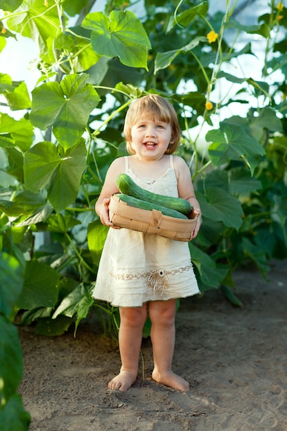 child picking cucumbers in hothouse