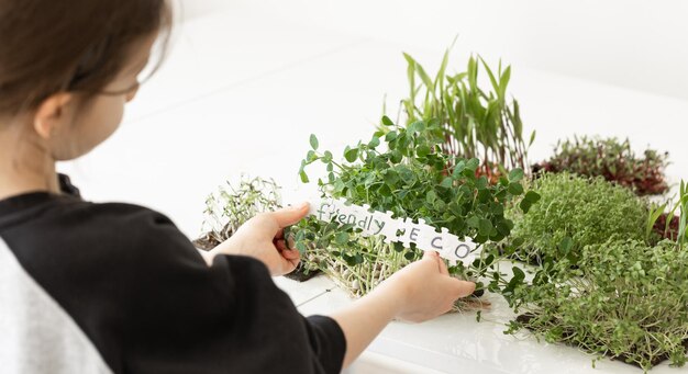 Foto gratuita bambino che germoglia microgreens concetto di giardinaggio domestico concetto di eco