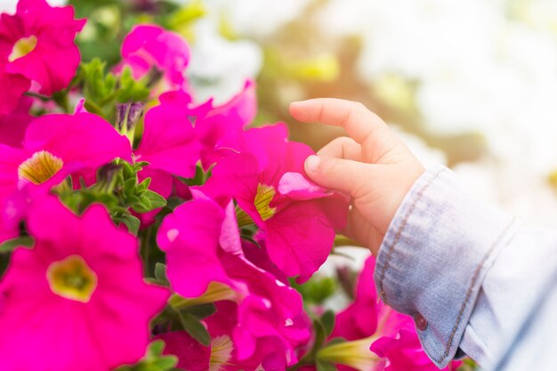 ピンクの花びらに触れる子供