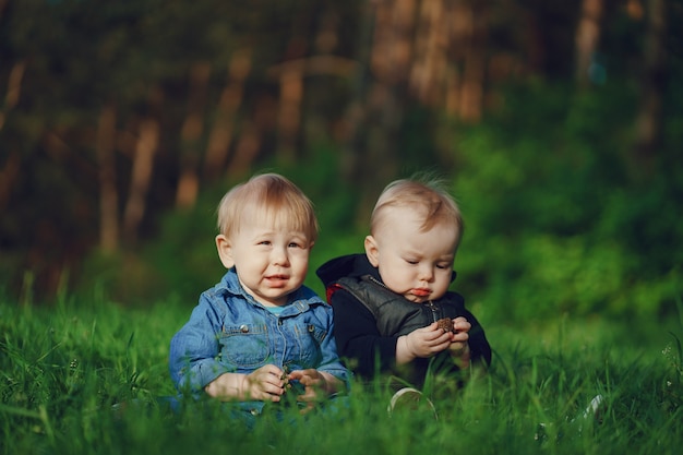 Free photo children in the grass