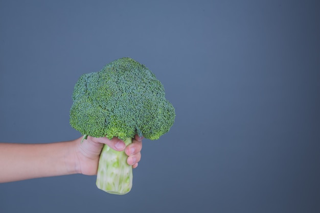 Children holding vegetables on a gray background.