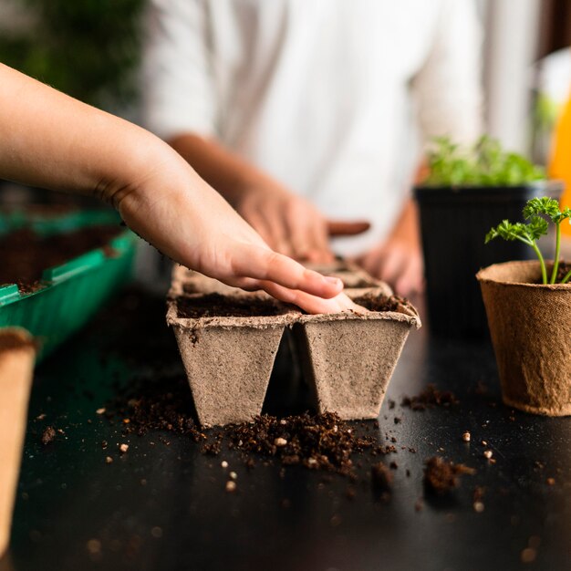 家で作物を植える子供たち