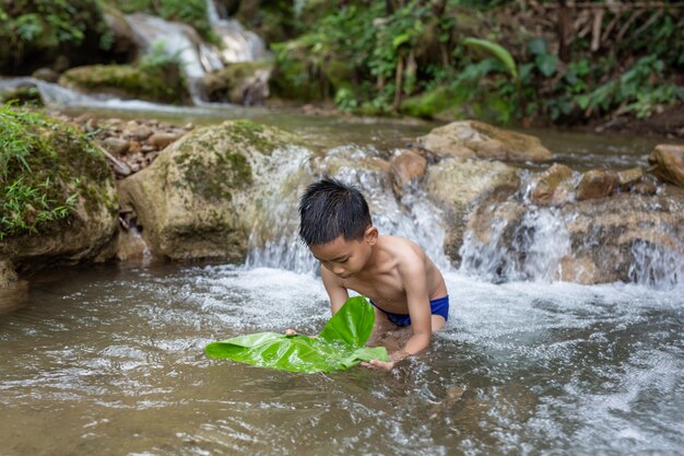 Children play happily in the stream