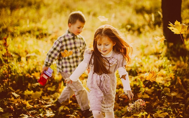 Children play with fallen leaves in the evening 