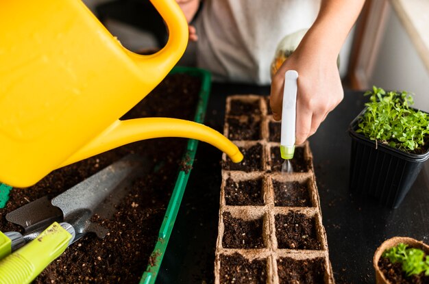 Children watering crops at home