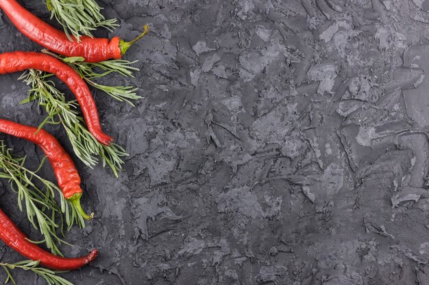 Chili peppers and rosemary background with copy space