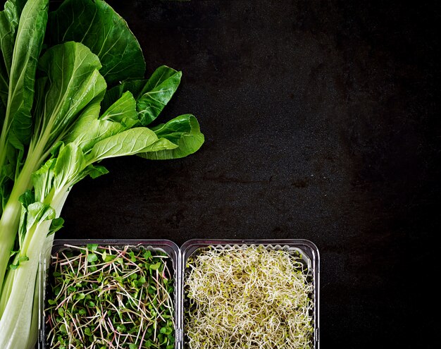 Chinese cabbage and micro greens on black table