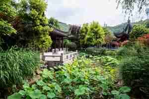 Free photo chinese garden n zurich