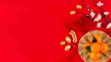 Free photo chinese new year concept with copy space