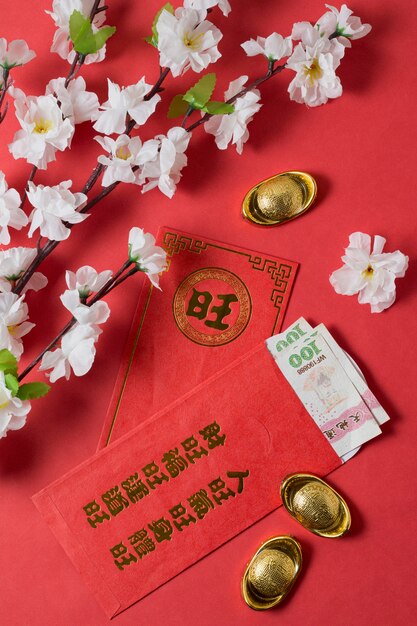 Chinese new year concept