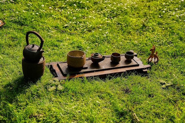 Chinese tea ceremony in a park. tea drinking in the open air.