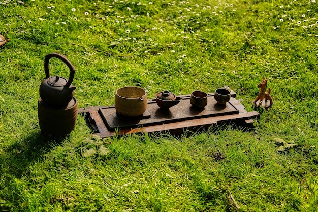 Cerimonia del tè cinese in un parco. bere il tè all'aria aperta.