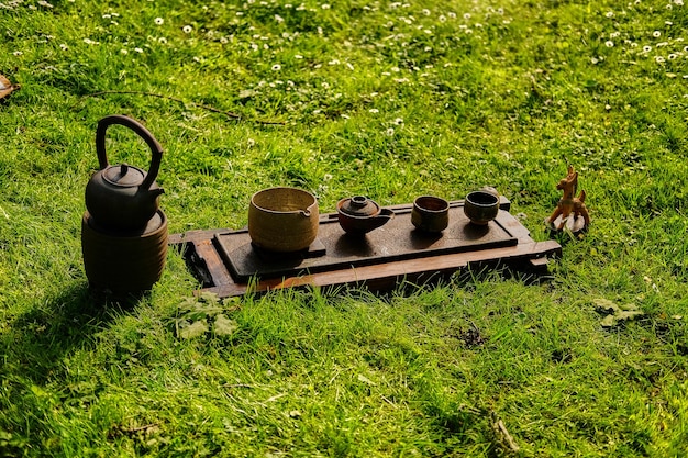 Китайская чайная церемония в парке. Чаепитие на свежем воздухе.