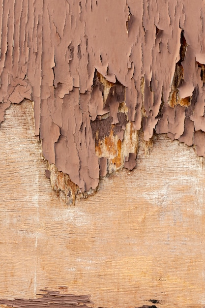 Cippare il legno su una superficie ruvida