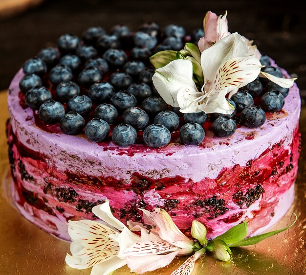 chocolate cake with blueberry and cream