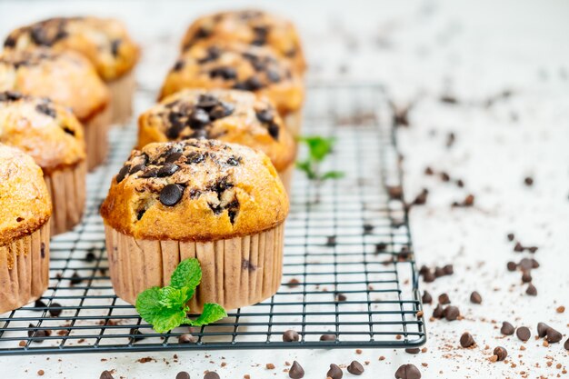 Chocolate chip muffin