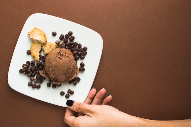 Chocolate ice cream on plate