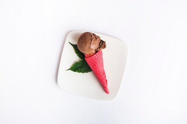 Chocolate ice cream on plate