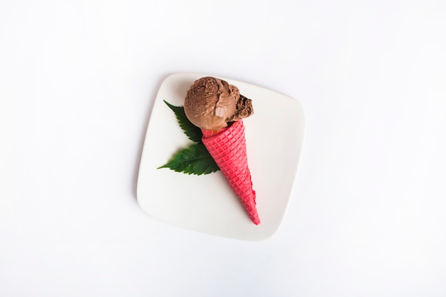 Chocolate ice cream on plate