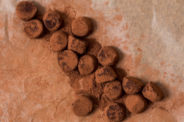 Chocolate truffle in cocoa powder