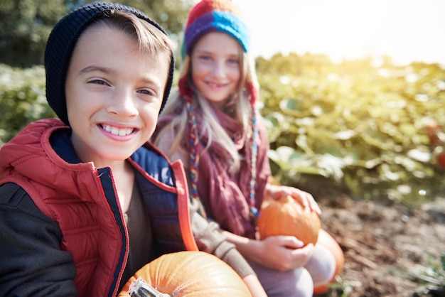 ハロウィーンにぴったりのカボチャを選ぶ