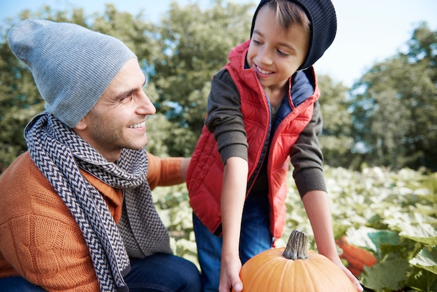 Free photo choosing the perfect pumpkin for halloween