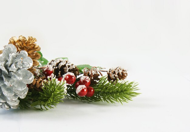 Christmas background with berries and pine cones