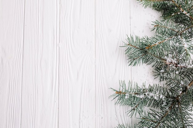 Christmas background with fir branches on right