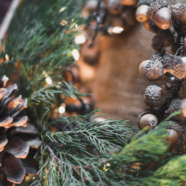 Christmas background with hazelnuts